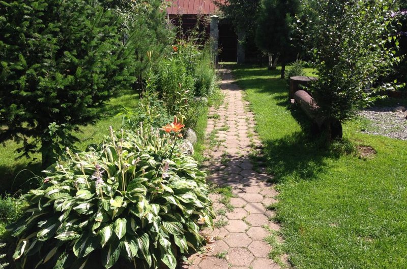 Гостевой дом Lake House, Иогач, Телецкое, Горный Алтай 04