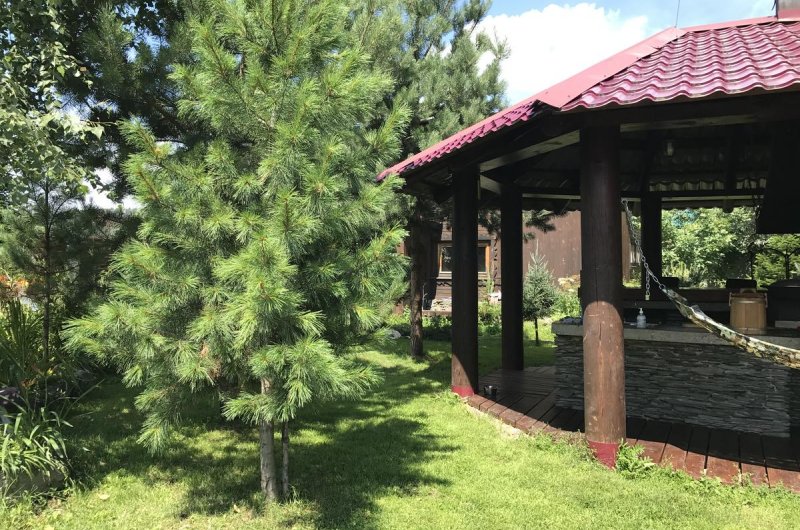 Гостевой дом Lake House, Иогач, Телецкое, Горный Алтай 10
